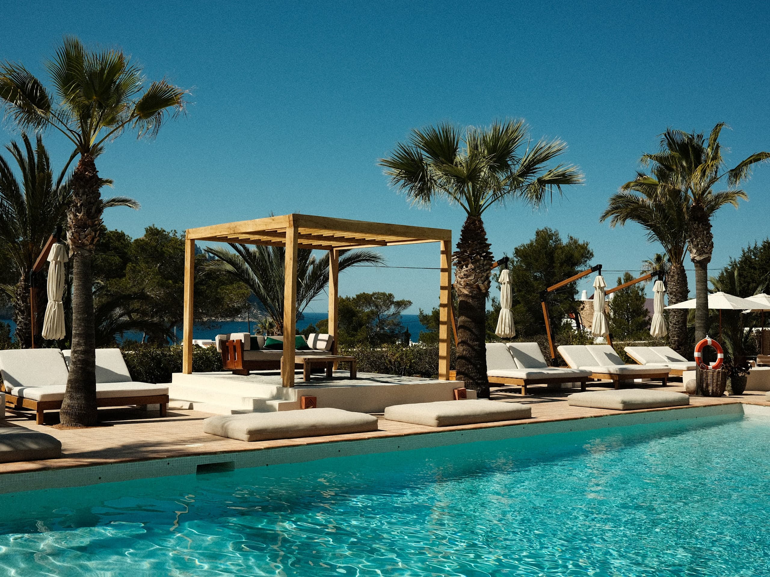 Petunia Ibiza