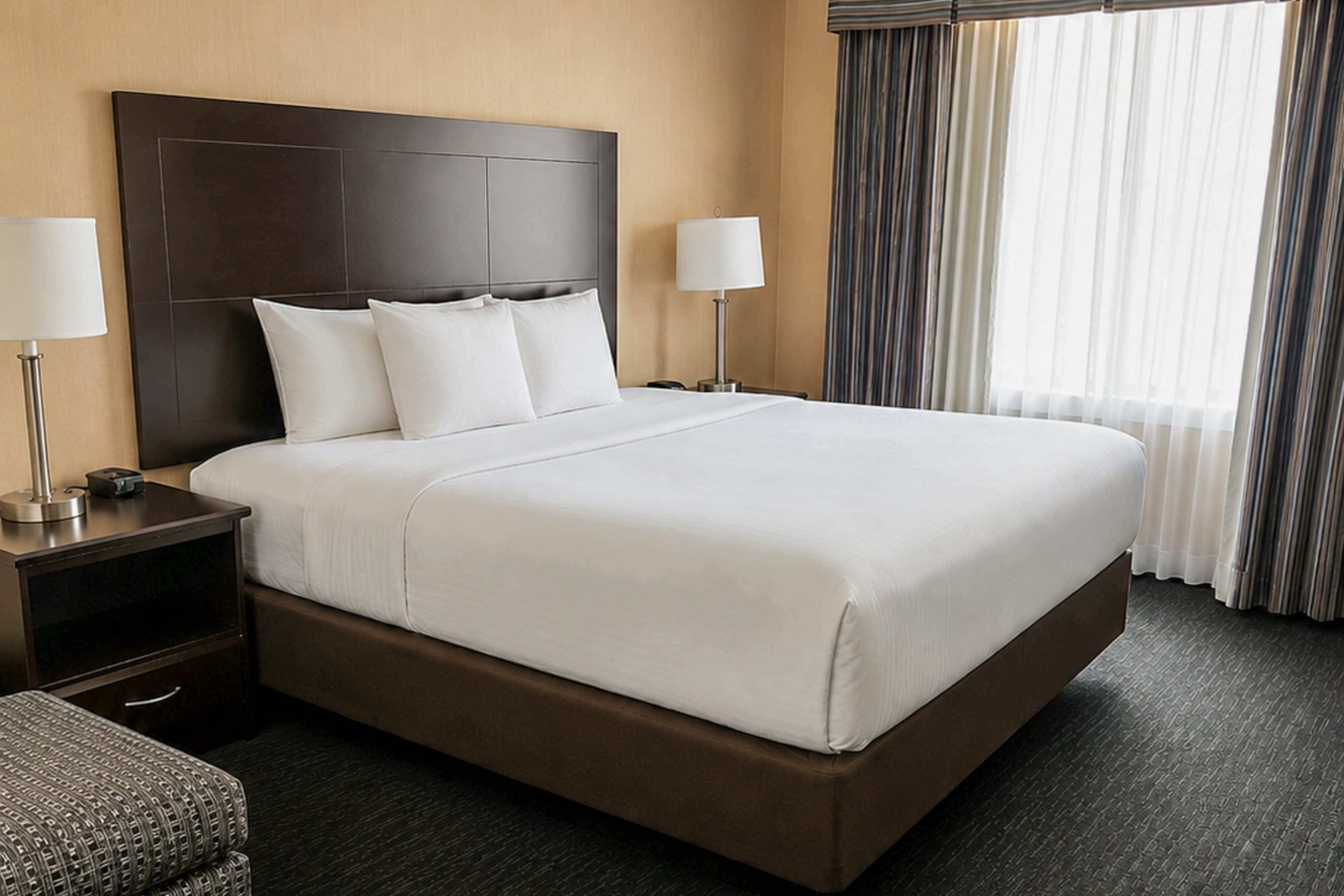 Comfort Inn & Suites Ambassador Bridge - Image 4