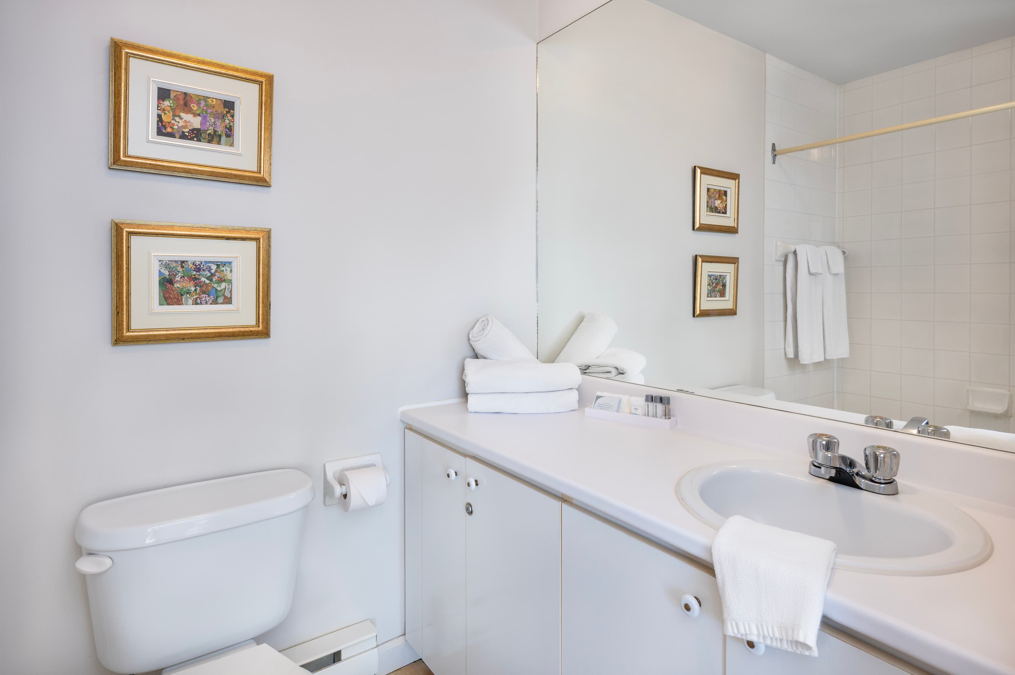 2 Double Beds, 2 Levels, Garden Side - Image 4
