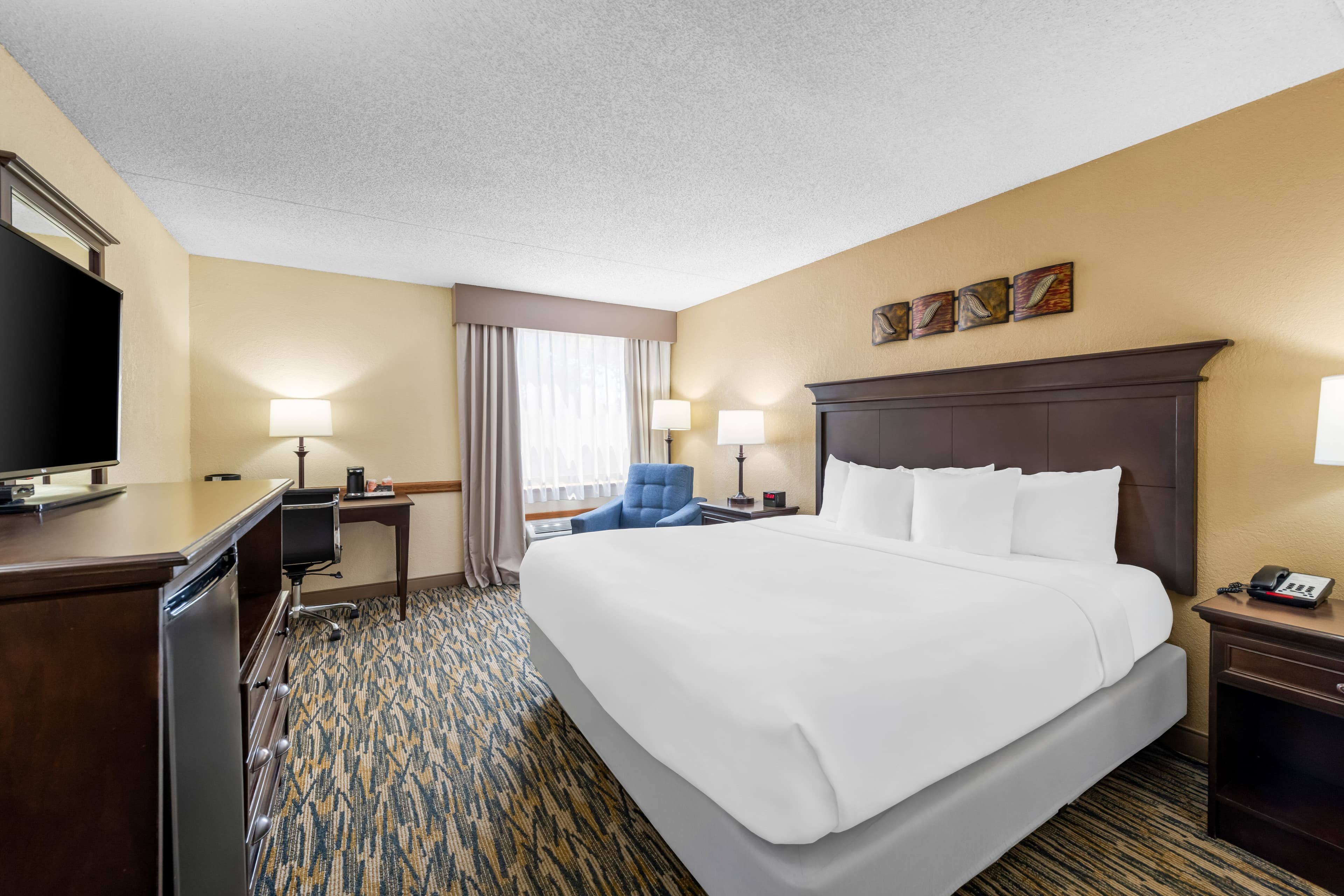Comfort Inn at Thousand Hills - Image 2