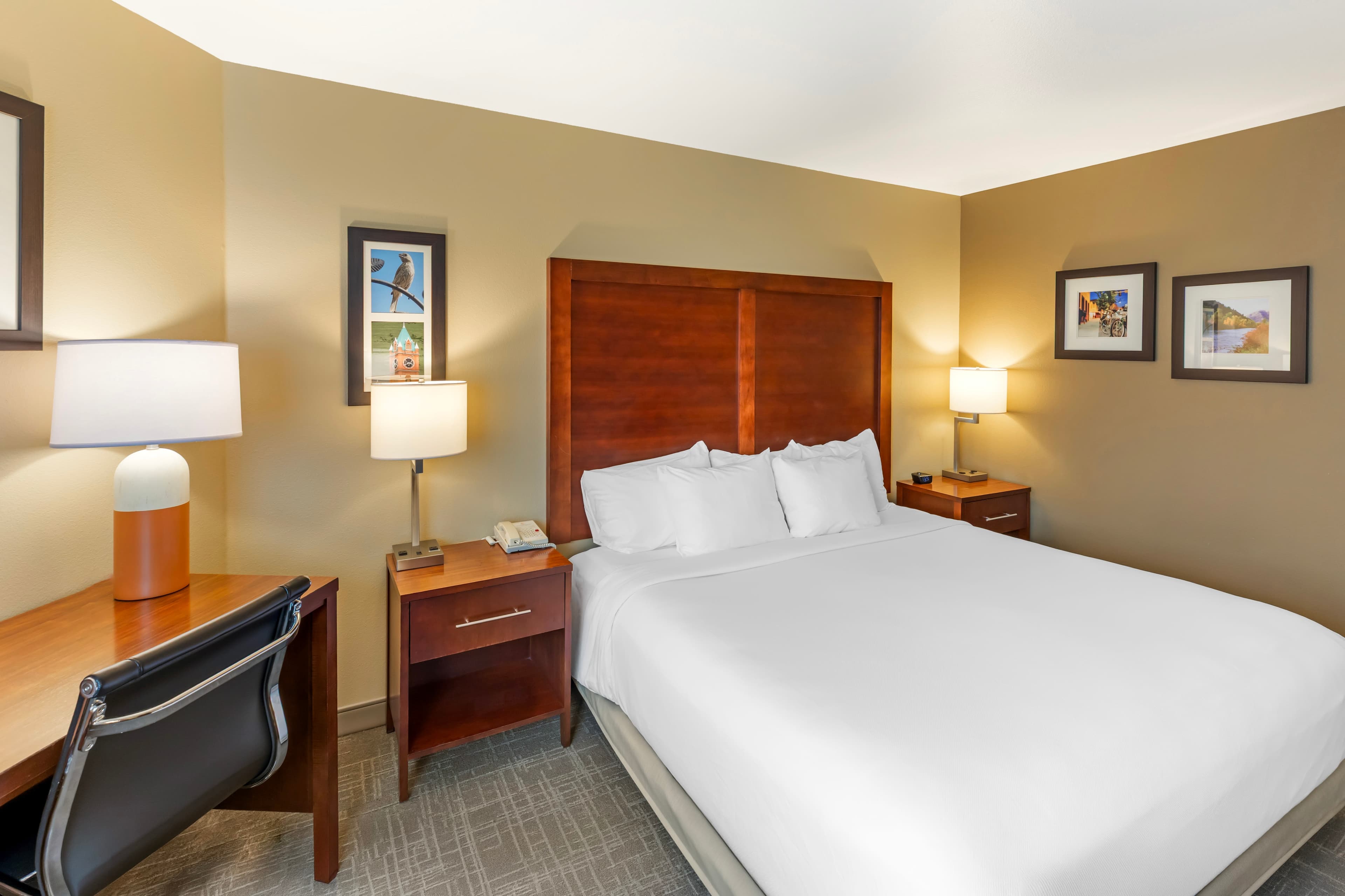 Comfort Inn Missoula near University - Image 2