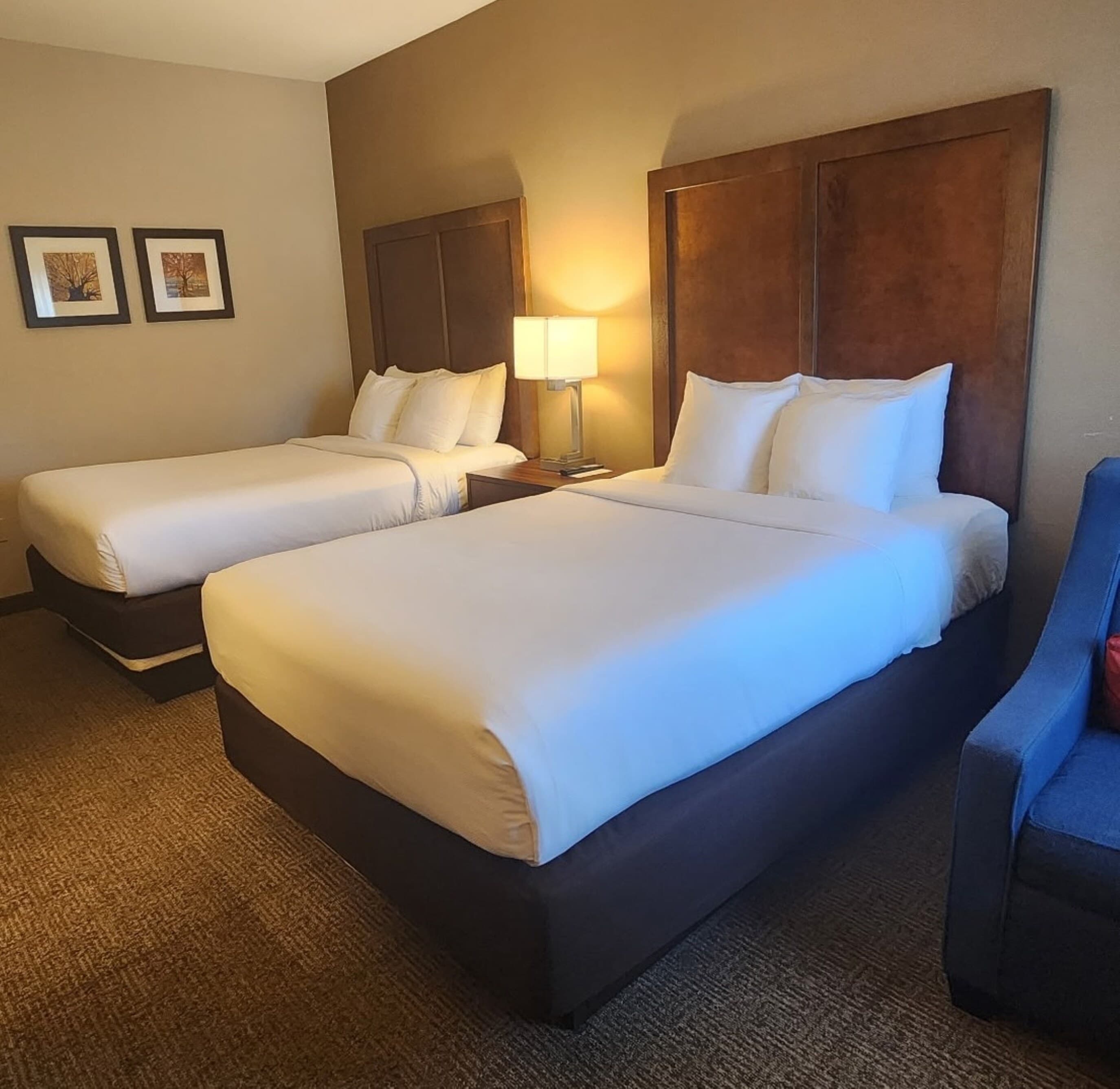 Comfort Inn Concord South End - Image 3