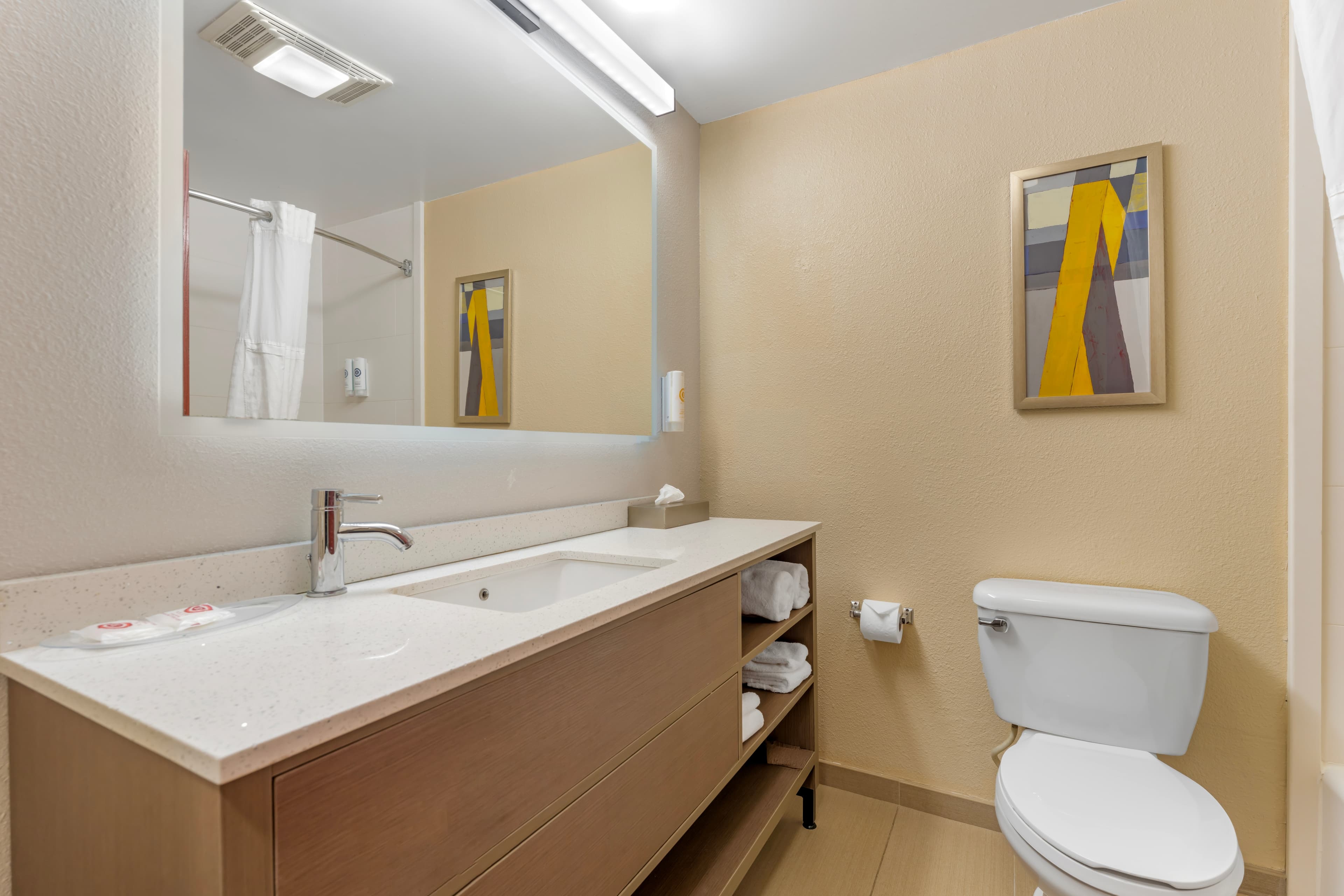 1 King Bed, 1 Room Suite, 2-Person Sofabed - Image 4