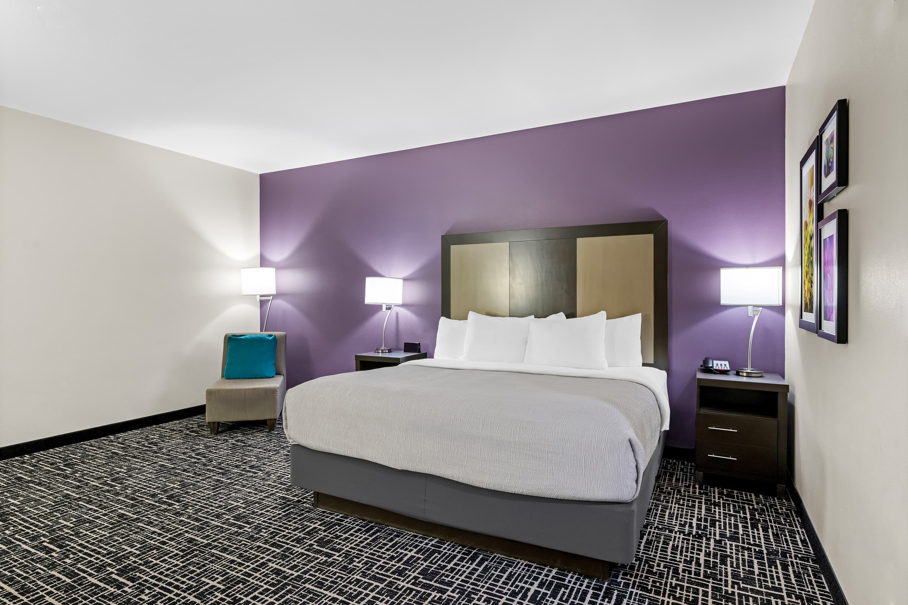 Quality Inn & Suites Colorado City, TX - Image 2