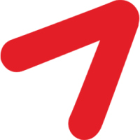 Airline logo