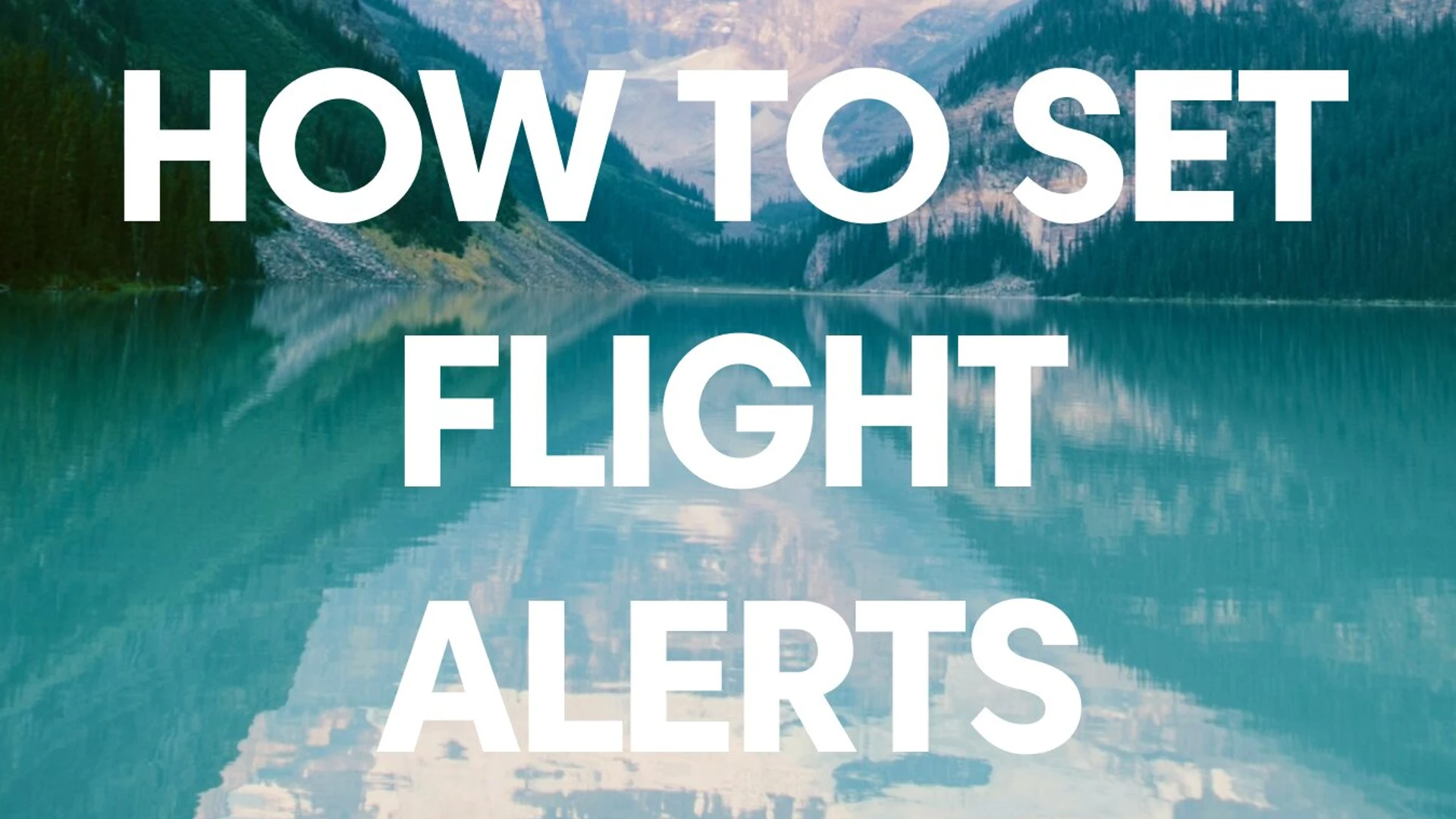 How to create award flight alerts for business and first class - Roame